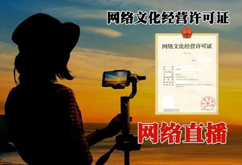 北京順義區網絡文化經營許可證代辦費用詳解與急速辦理指南